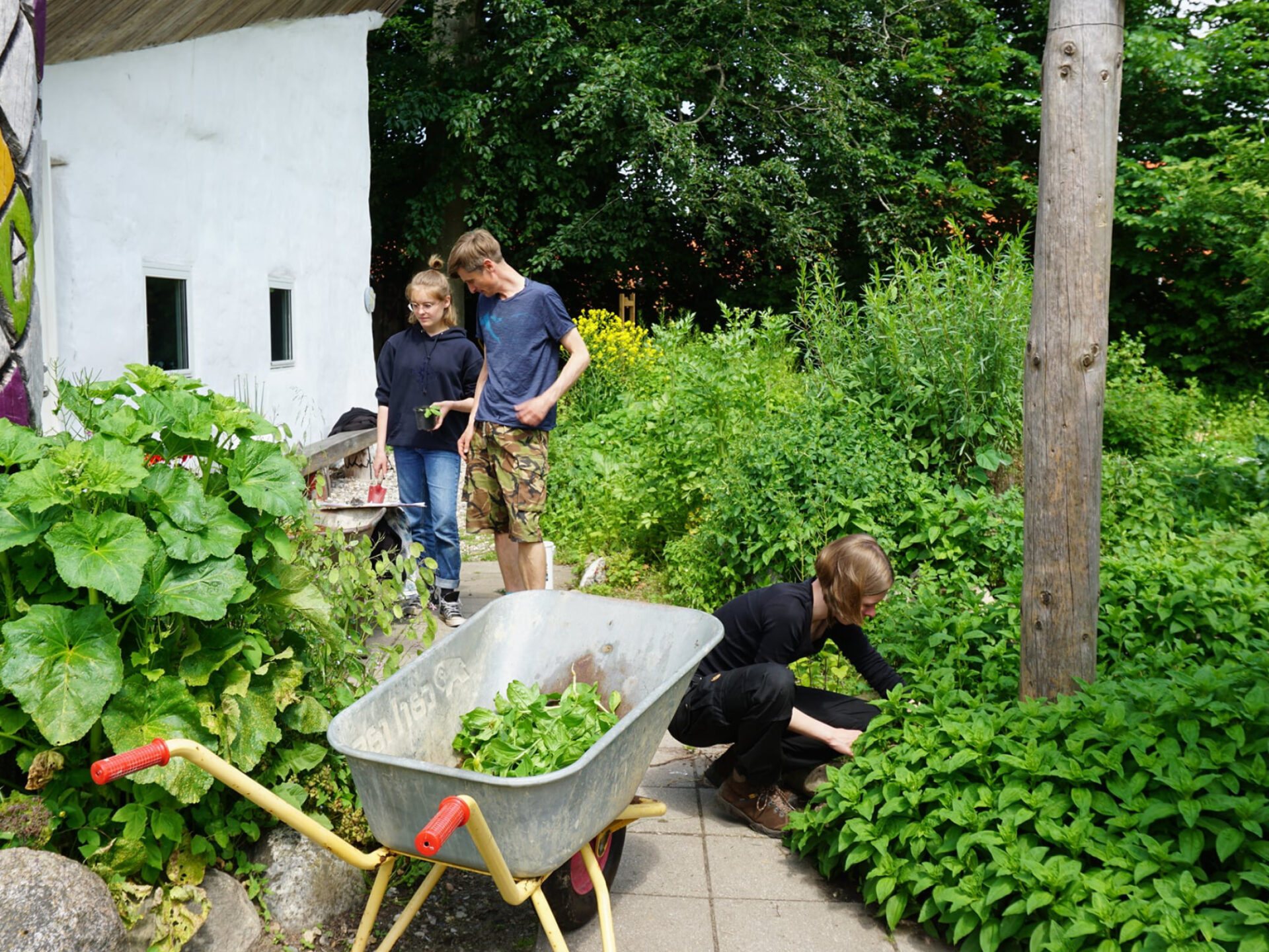 Learn permaculture in the school's very own perma garden