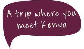 A trip where you meet kenya