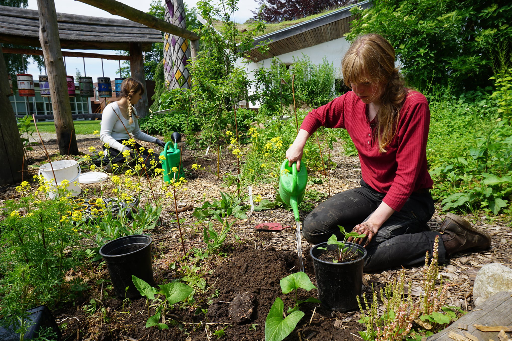 Learn permaculture in the school's very own perma garden