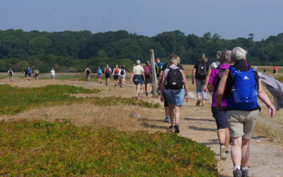 Sommer ø-vandring